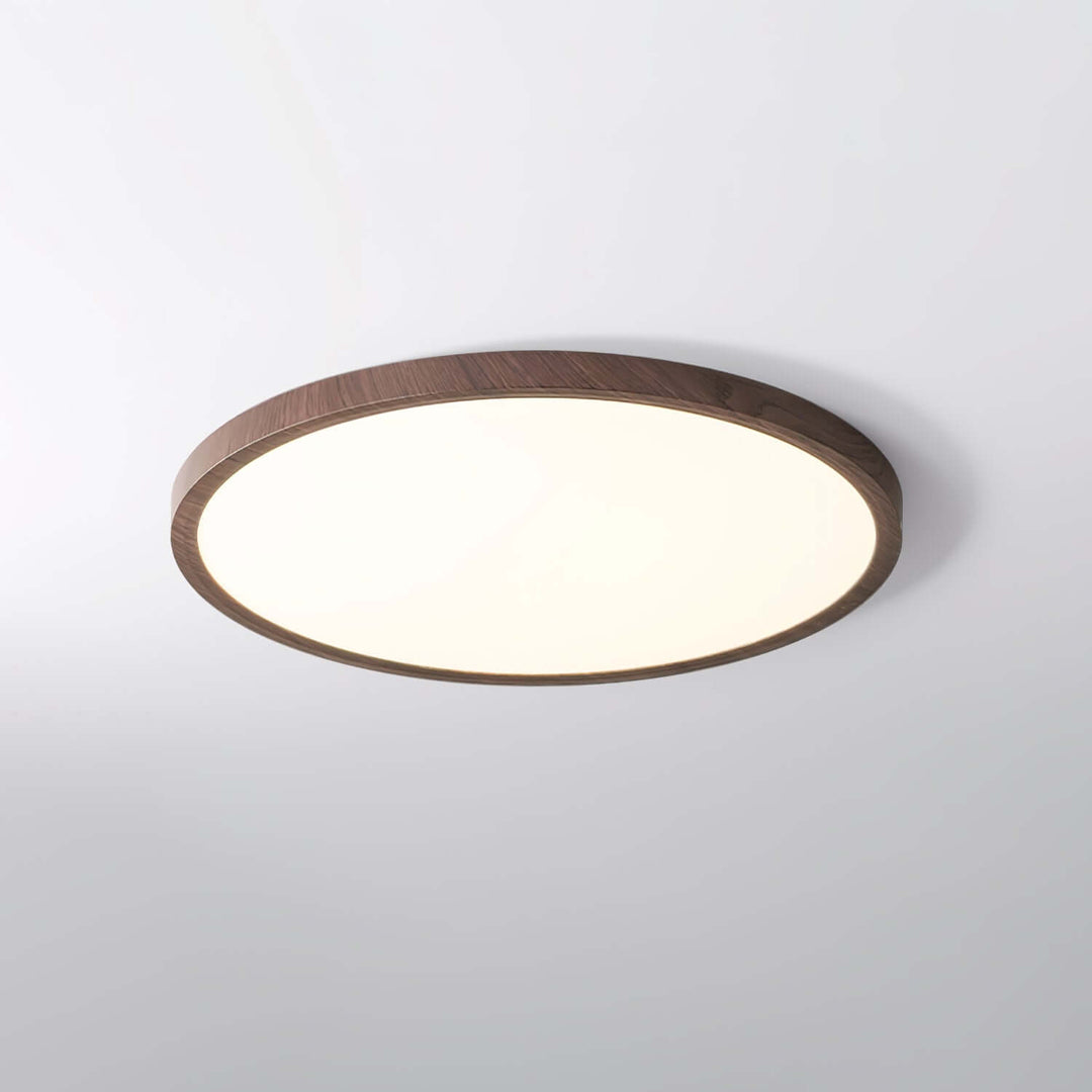 Tynd cirkel loftlampe - Moderne boligbelysning