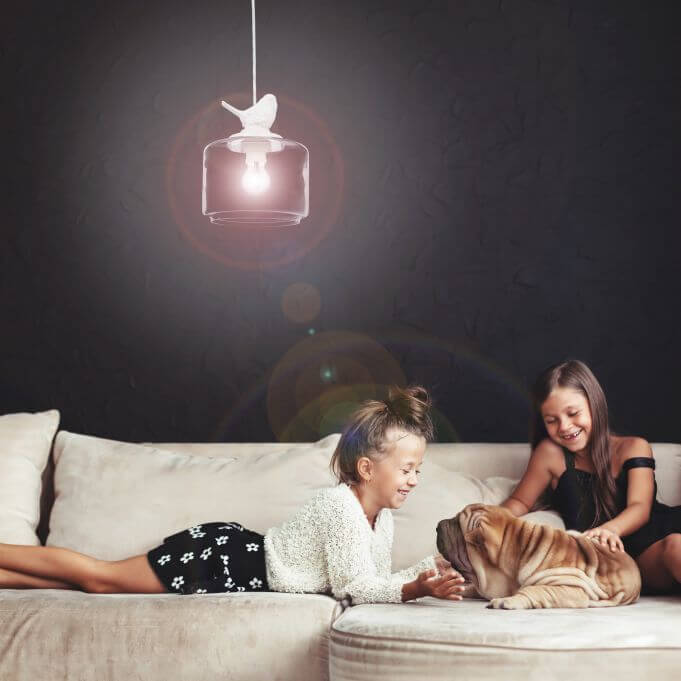 Pendel med fugledesign