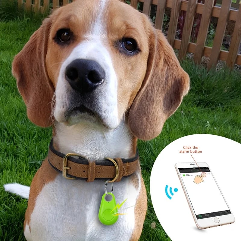 "Bluetooth-pohjainen lemmikkien seurantalaite kaulapantaan, kompakti ja kevyt. Musta, valkoinen, pinkki, vihreä tai sininen."