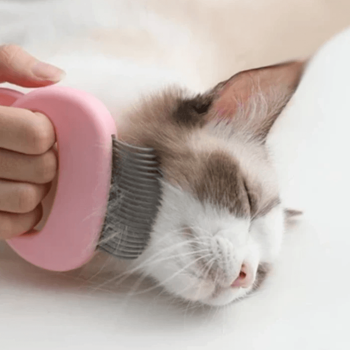 Ergonomisk massagekam til kat eller hund, blå, grøn, pink, let ABS, forbedrer cirkulation, gør pelsen skinnende.
