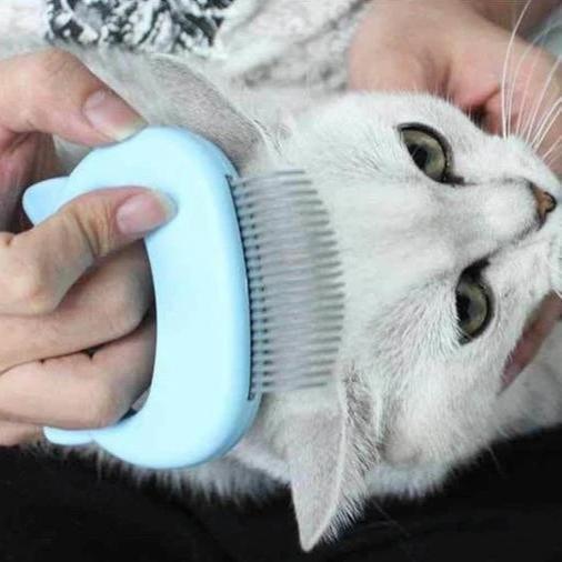 Ergonomisk massagekam til kat eller hund, blå, grøn, pink, let ABS, forbedrer cirkulation, gør pelsen skinnende.