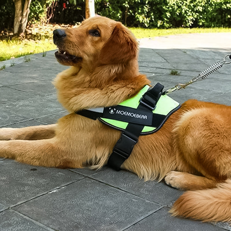 Reflekterende hundesnor, justerbar pasform, forhindrer træk, forbedrer synlighed, holdbart Oxford stof.