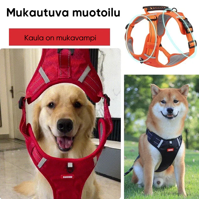 Heijastava koiran valjas punaisena, ideaalinen iltakävelyihin.