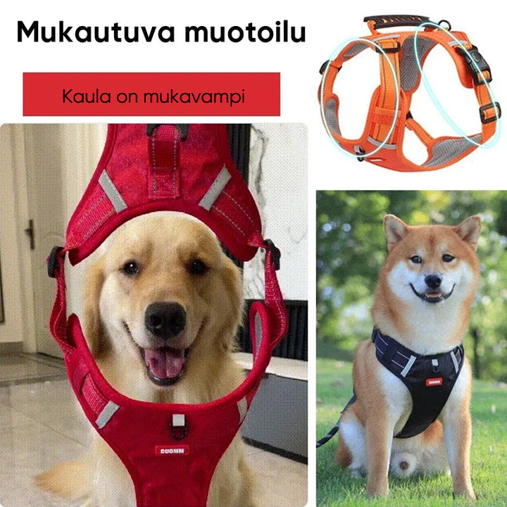Heijastava koiran valjas punaisena, ideaalinen iltakävelyihin.
