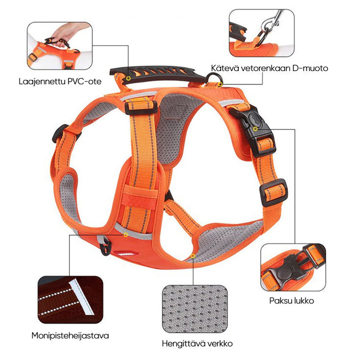 Heijastava koiran valjas oranssina, hengittävä materiaali.