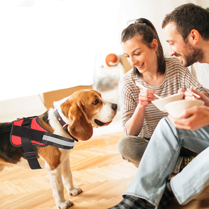 Reflekterende hundesele i forskellige farver, synlig i tusmørke, blødt mesh-stof, komfortabel og sikker for alle hunde.