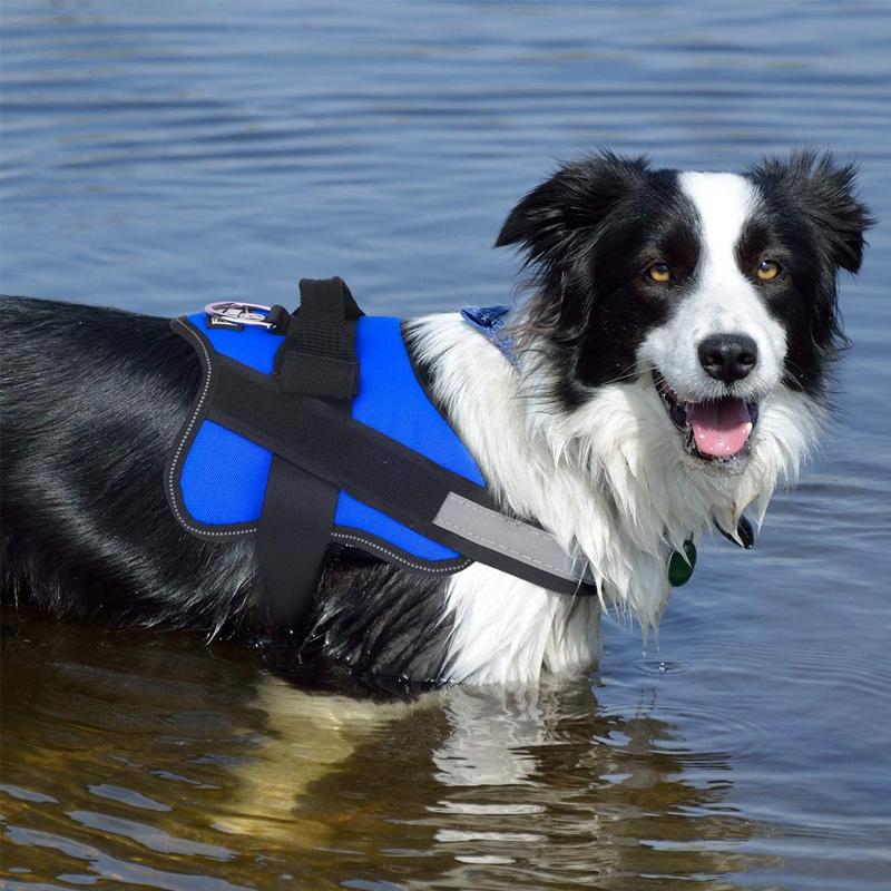 Reflekterende hundesele i forskellige farver, synlig i tusmørke, blødt mesh-stof, komfortabel og sikker for alle hunde.