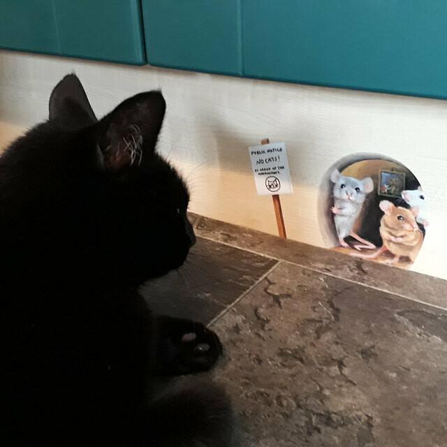 Sjovt musehul 3D wallsticker på fodpanelet, legende musemønster, holdbart vinyl, boligdekoration og udendørs brug.
