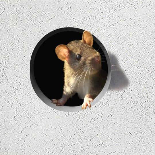 Sjovt musehul 3D wallsticker på fodpanelet, legende musemønster, holdbart vinyl, boligdekoration og udendørs brug.