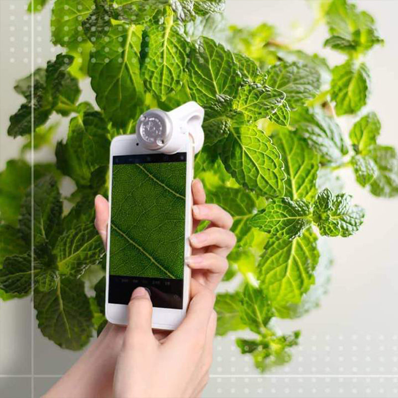 Bærbar LED-mikroskop, sort, hvid, til smartphones, letvægts, nem fastgørelse, LED-lys, detaljerede observationer