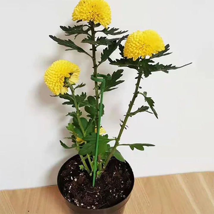 Plantestøtte med ring, stærk grøn stål, havestøtte sæt, 10 stk, hjælper planter med at stå lige.