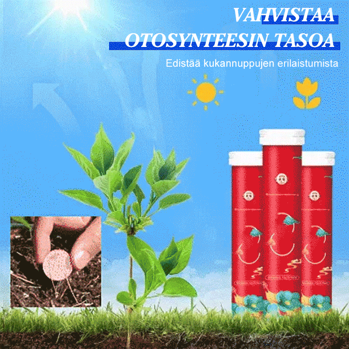 Plantegødningstabletter i haven, langvarig næringsfrigørelse, grønne planter, alsidige tabletter.