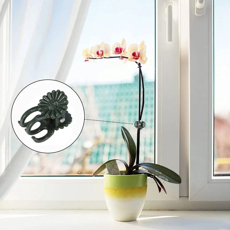 Planteholdere 14x15mm, let plast, understøtter blomsterstængler, grøn farve, velegnet til orkideer og stueplanter.