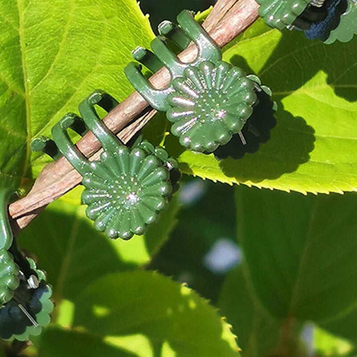 Planteholdere 14x15mm, let plast, understøtter blomsterstængler, grøn farve, velegnet til orkideer og stueplanter.
