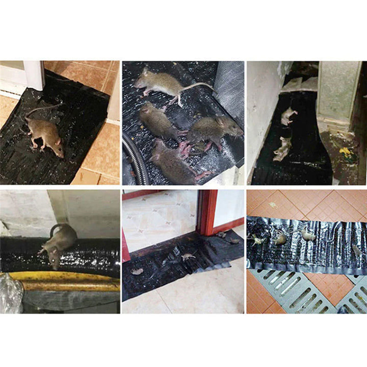 Holdbar musefælde, grå plastikramme, jordnøddeduft, tiltrækker gnavere, skadedyrsbekæmpelse i hjemmet.