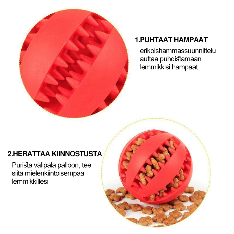 Holdbart gummi hundelegetøj i forskellige farver, designet til at rengøre tænder med takket mønster.