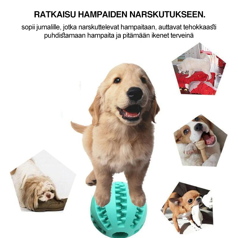 Holdbart gummi hundelegetøj i forskellige farver, designet til at rengøre tænder med takket mønster.
