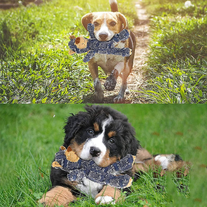 Holdbar bamse til hundelegetid, blød og sikker; perfekt tyggelegetøj til hundens tandsundhed.