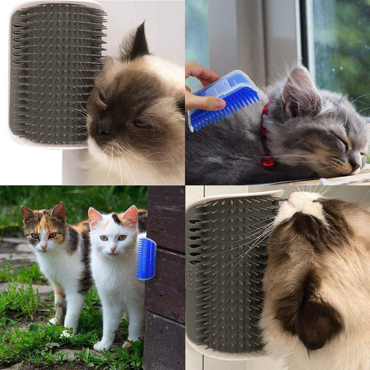 Katte selvplejebørste, blød plastik, vægmonteret, tilbyder beroligende massage til dit kæledyr.