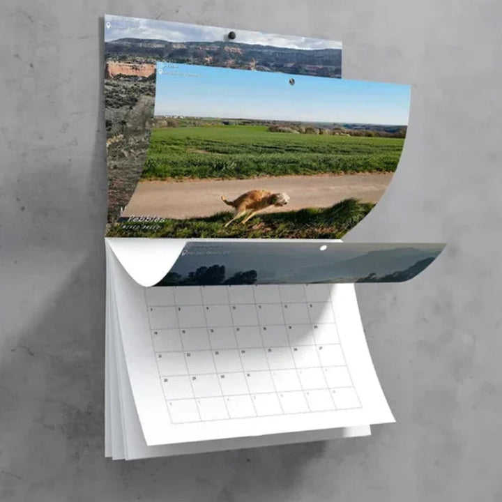Hundekalender til væggen, sjove farverige billeder af hunde, perfekt gave til hundeelskere, bringer glæde til hjemmet.