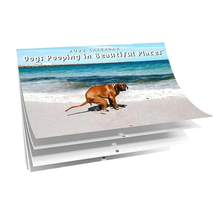 Hundekalender til væggen, sjove farverige billeder af hunde, perfekt gave til hundeelskere, bringer glæde til hjemmet.