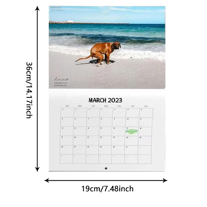 Hundekalender til væggen, sjove farverige billeder af hunde, perfekt gave til hundeelskere, bringer glæde til hjemmet.