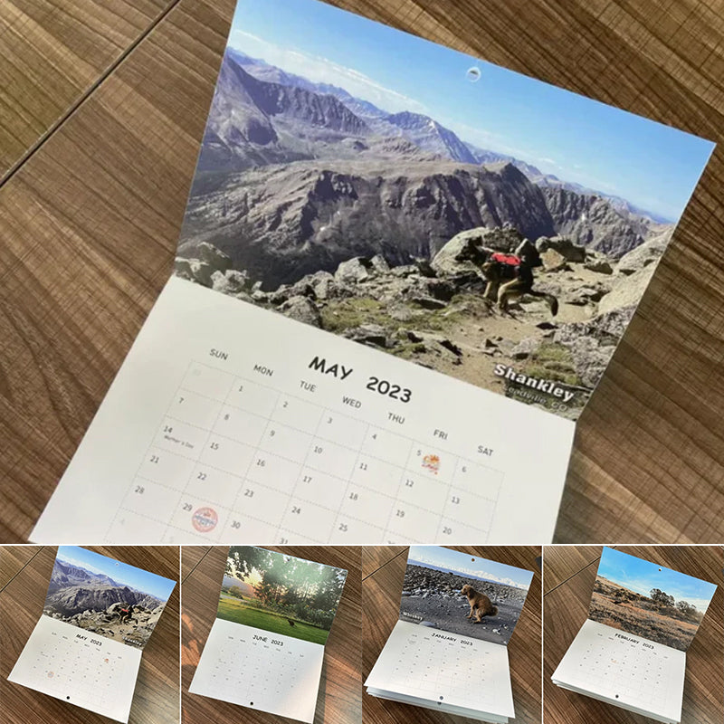 Hundekalender til væggen, sjove farverige billeder af hunde, perfekt gave til hundeelskere, bringer glæde til hjemmet.