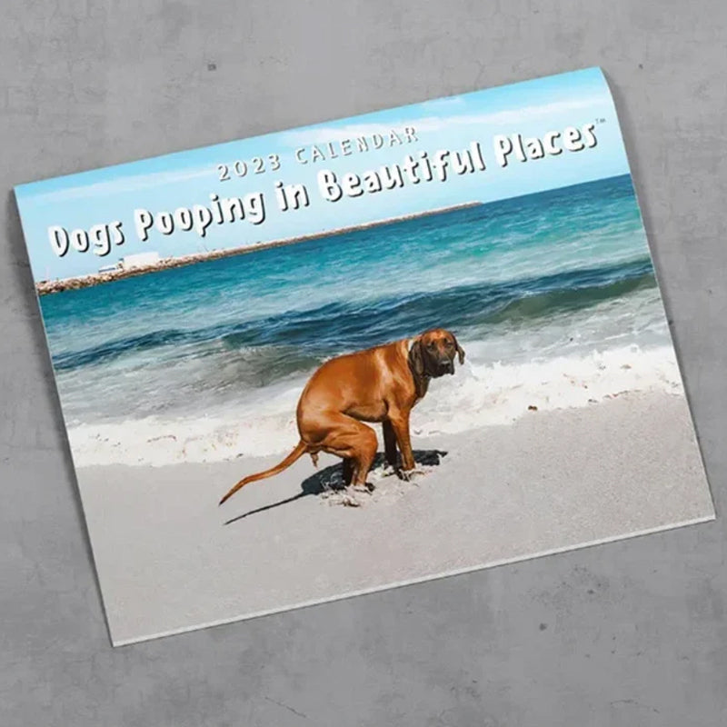 Hundekalender til væggen, sjove farverige billeder af hunde, perfekt gave til hundeelskere, bringer glæde til hjemmet.