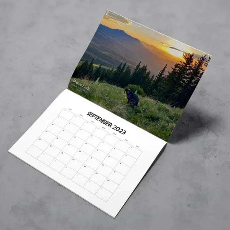 Hundekalender til væggen, sjove farverige billeder af hunde, perfekt gave til hundeelskere, bringer glæde til hjemmet.