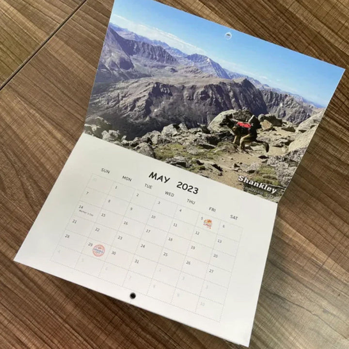 Hundekalender til væggen, sjove farverige billeder af hunde, perfekt gave til hundeelskere, bringer glæde til hjemmet.