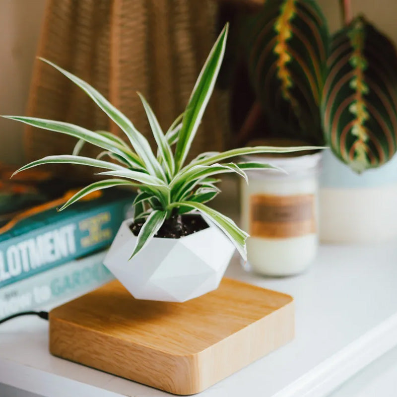 Svævende magnetisk blomsterpotte i mørk og lys, futuristisk boligdekoration til planter, svævende design