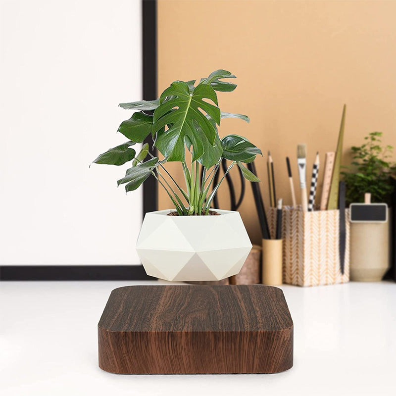 Svævende magnetisk blomsterpotte i mørk og lys, futuristisk boligdekoration til planter, svævende design