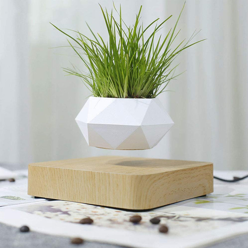 Svævende magnetisk blomsterpotte i mørk og lys, futuristisk boligdekoration til planter, svævende design