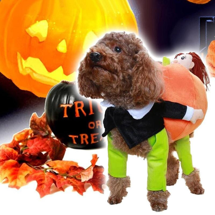 Kæledyr græskar Halloween kostume, sjovt og blødt outfit, oransje græskarprint, behagelig velcro-lukning.