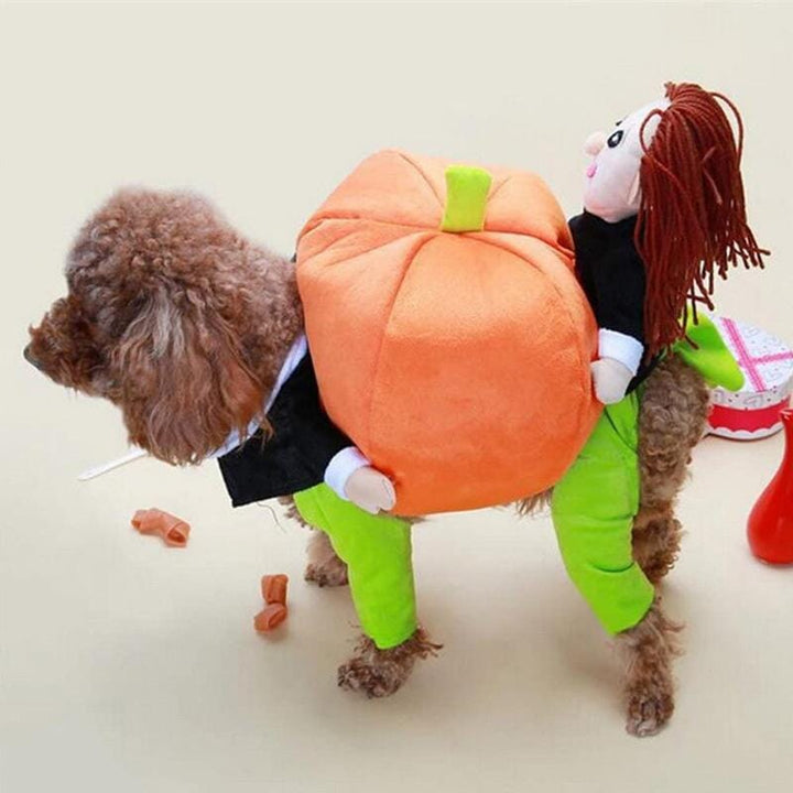 Kæledyr græskar Halloween kostume, sjovt og blødt outfit, oransje græskarprint, behagelig velcro-lukning.