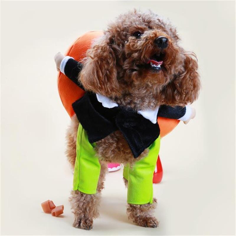 Kæledyr græskar Halloween kostume, sjovt og blødt outfit, oransje græskarprint, behagelig velcro-lukning.