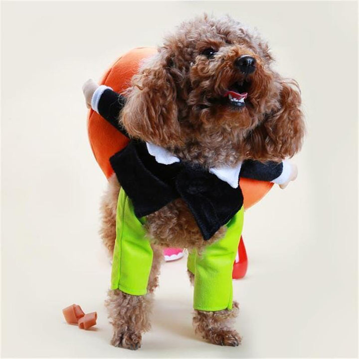 Kæledyr græskar Halloween kostume, sjovt og blødt outfit, oransje græskarprint, behagelig velcro-lukning.