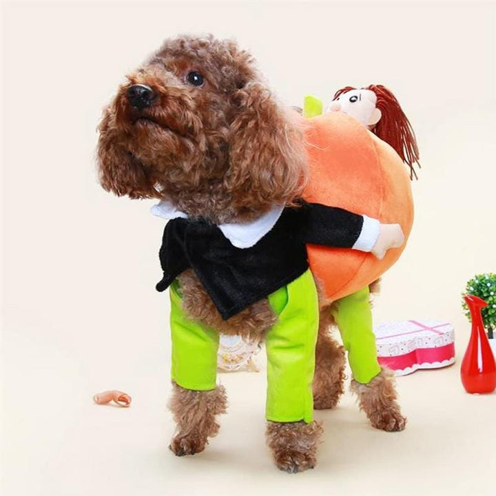 Kæledyr græskar Halloween kostume, sjovt og blødt outfit, oransje græskarprint, behagelig velcro-lukning.