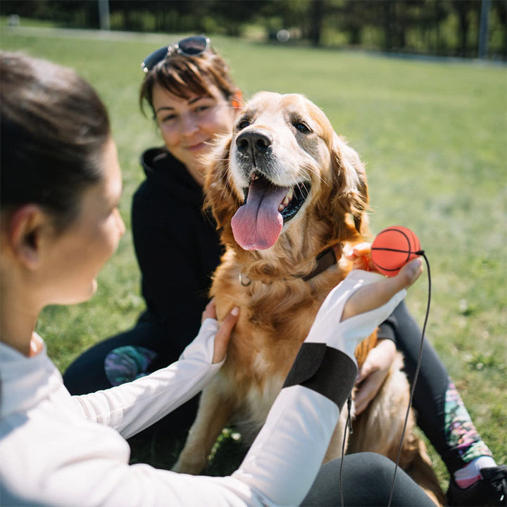Multifarvet håndledsbold til udendørs og sport, med orange, gul, grøn og lyserød farve for stilfuld udendørs leg.