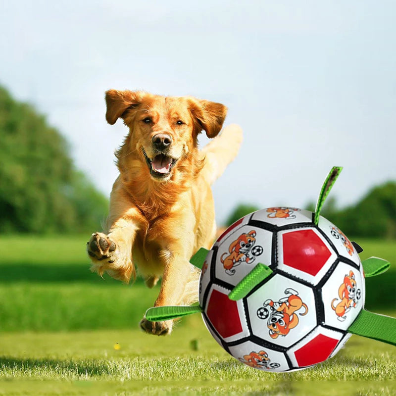 Rødt og hvidt PVC hundefodboldlegetøj i haven, interaktivt og nemt at bruge, 15 cm i diameter