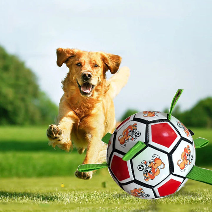 Rødt og hvidt PVC hundefodboldlegetøj i haven, interaktivt og nemt at bruge, 15 cm i diameter