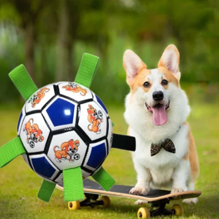Rødt og hvidt PVC hundefodboldlegetøj i haven, interaktivt og nemt at bruge, 15 cm i diameter
