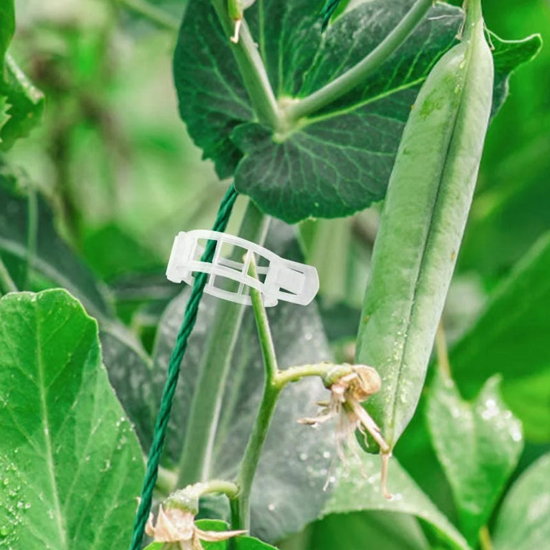 Hvide plastik plantestøtteklemmer til haven, hul design, til støtte af klatreplanter og fremme af sund vækst.
