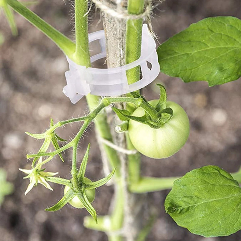 Hvide plastik plantestøtteklemmer til haven, hul design, til støtte af klatreplanter og fremme af sund vækst.