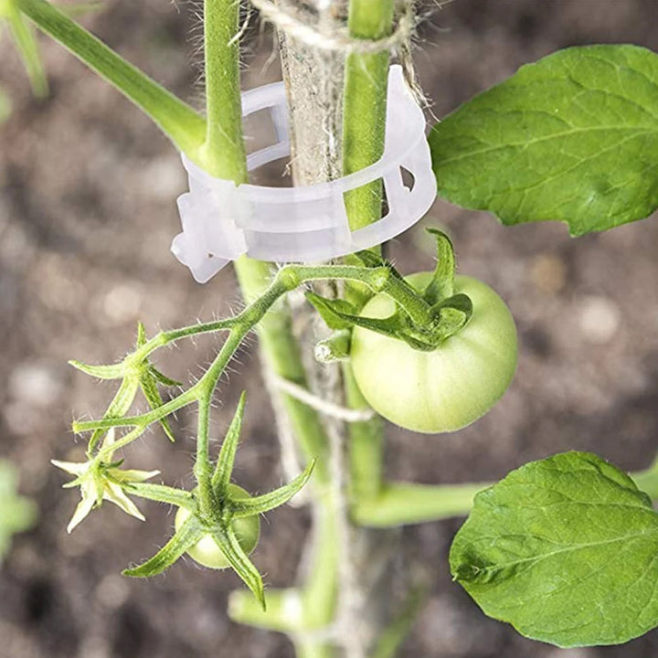 Hvide plastik plantestøtteklemmer til haven, hul design, til støtte af klatreplanter og fremme af sund vækst.