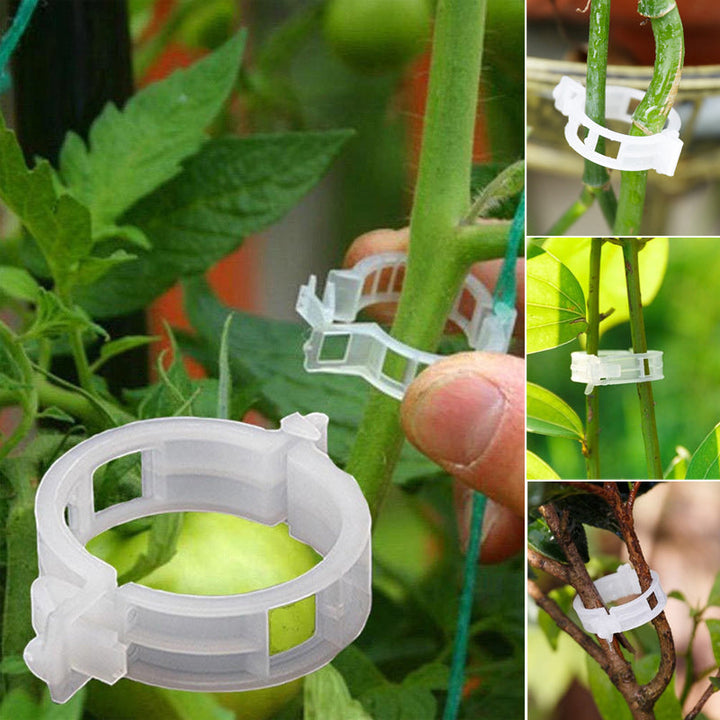 Hvide plastik plantestøtteklemmer til haven, hul design, til støtte af klatreplanter og fremme af sund vækst.