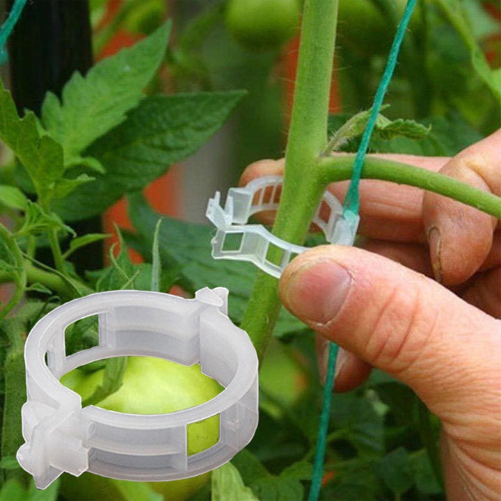 Hvide plastik plantestøtteklemmer til haven, hul design, til støtte af klatreplanter og fremme af sund vækst.