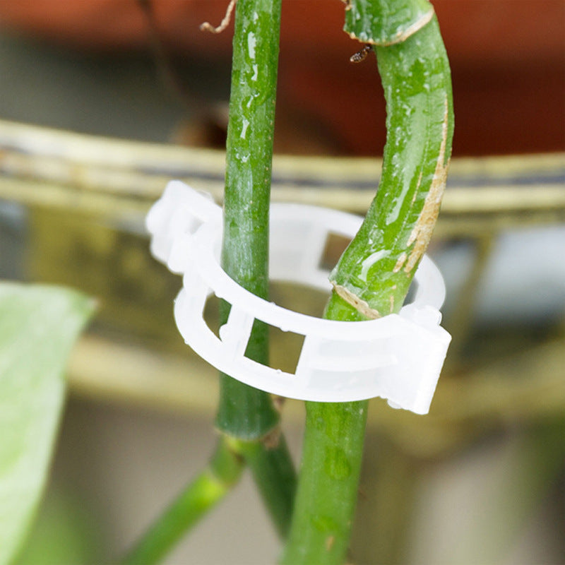 Hvide plastik plantestøtteklemmer til haven, hul design, til støtte af klatreplanter og fremme af sund vækst.