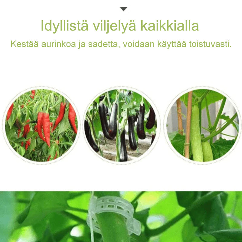 Hvide plastik plantestøtteklemmer til haven, hul design, til støtte af klatreplanter og fremme af sund vækst.