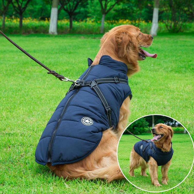 Vandtæt vinterjakke til hunde, rød farve, lynlås, fleece-for, reflekterende detaljer og høj krave.